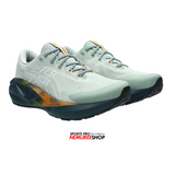 ASICS Running Shoes NOVABLAST 5 TR (NATURE BATHING/LICHEN ROCK) - Nemuree Shop - Online Sports Store